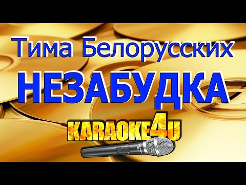 Тима Белорусских | Незабудка | Караоке (Кавер минус от RomanSam)