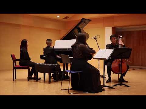 Piano Trio : Johann Baptist VANHAL