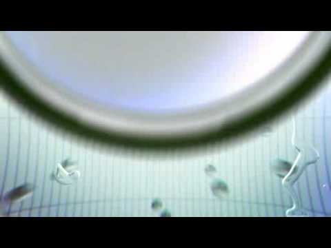 Nikles Shower Technology: Bathroom Design & Renovation Tips