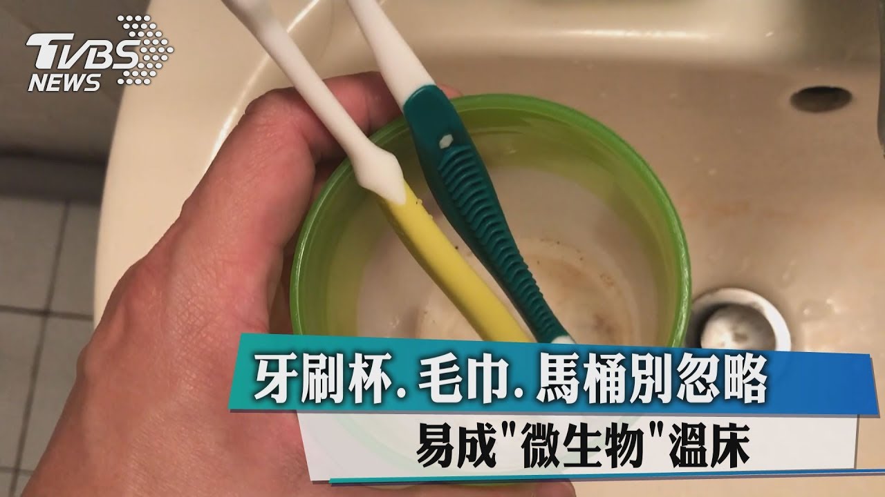 牙刷杯、毛巾、馬桶別忽略　易成微生物溫床