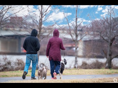 Living in Barry Farm, DC: The Ultimate Local Guide | Homes.com