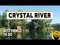 Best Things To See Do In Crystal River 2022 How To Swim With Manatees Guide