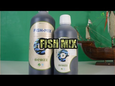download lagu mp3 mp4 Fish Mix, download lagu Fish Mix gratis, unduh video klip Fish Mix