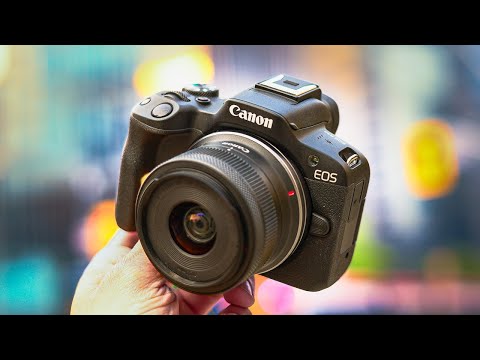 Canon R50 - The Best New Affordable Camera?