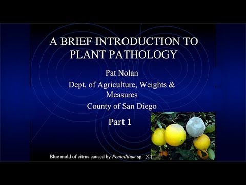Session 6  Plant Pathology 1