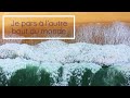 Je pars à l'autre bout du monde - Beyries (Cover)