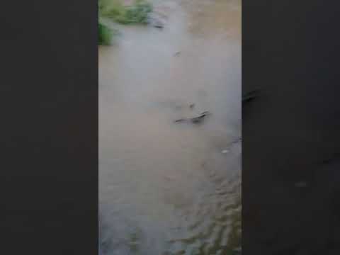 Inundacion en san ignacio chile