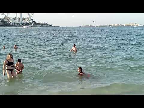 Most Beautiful Dubai beach ( Dubai Samandar )