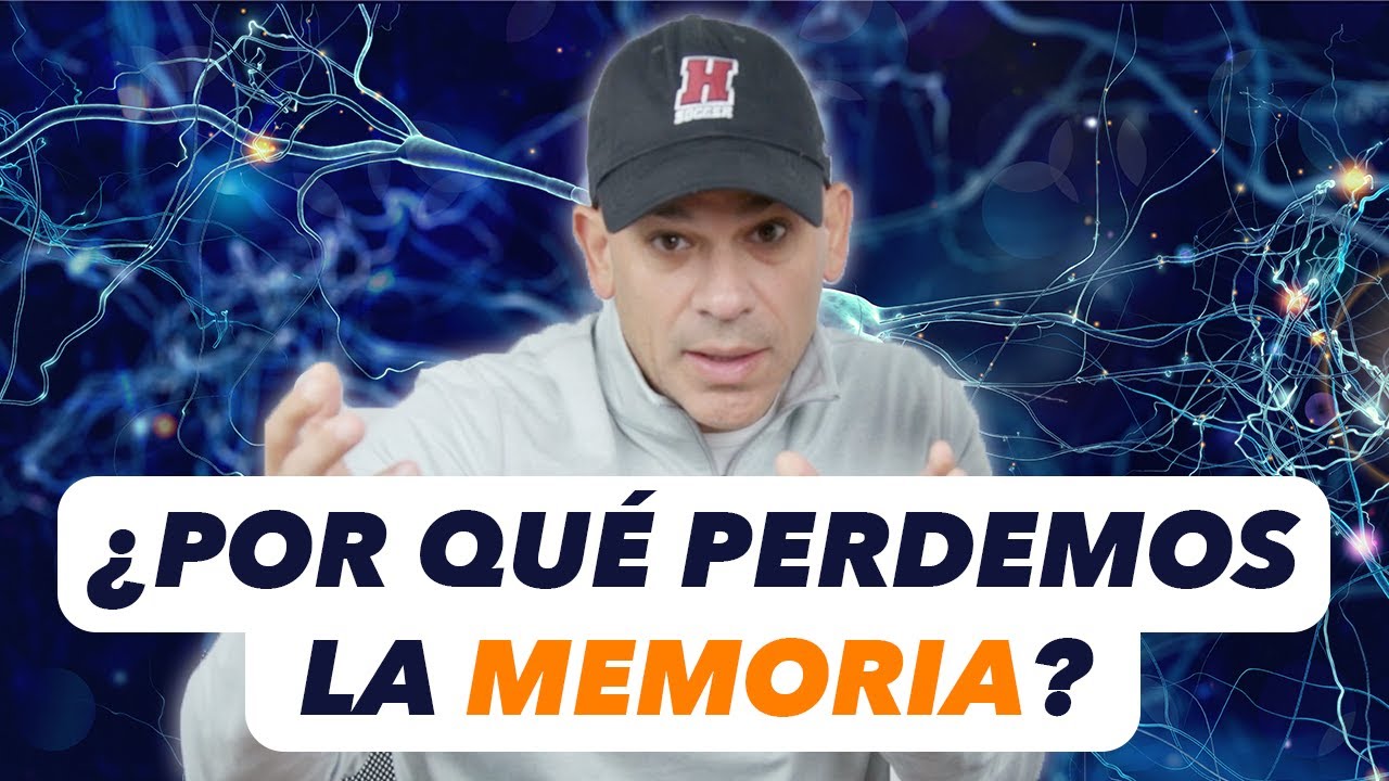 ¿Por qué perdemos la memoria?