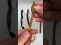 Video Thumbnail for Best Walleye Texas Rig Plastic Worms