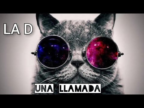 Video de la banda La D
