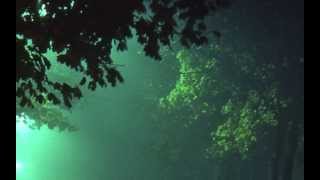 Falling Through Time Music Video