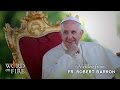Fr. Barron on Pope Francis' Encyclical "Laudato Si ...