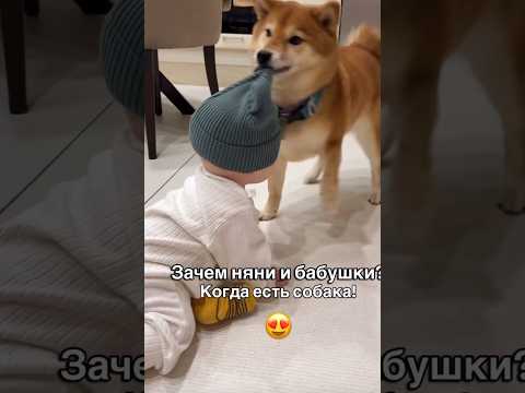 Зачем Няни И Бабушки? Когда Есть Собака! 😍