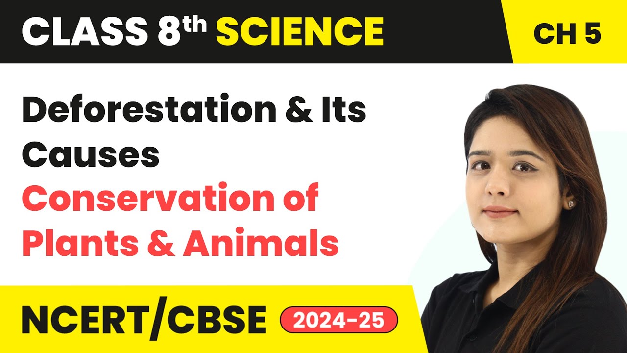 Deforestation and Its Causes - Conservation of Plants and Animals | Class 8 Science Ch 5 | CBSE 2024