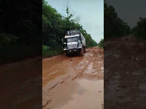 Tractomula Freightliner por la vía a Cumaribo Vichada #trucks #automobile #truckesvlogs #offroad