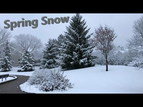 Beautiful Spring Snow - 23 March 2020