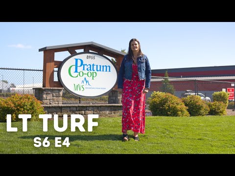 Mountain View Seeds – LT Turf Season 6 Episode 4
