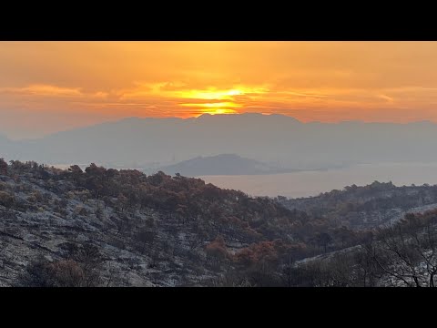 Kako izgleda OTOK ČIOVO nakon požara? 🔥 #shorts