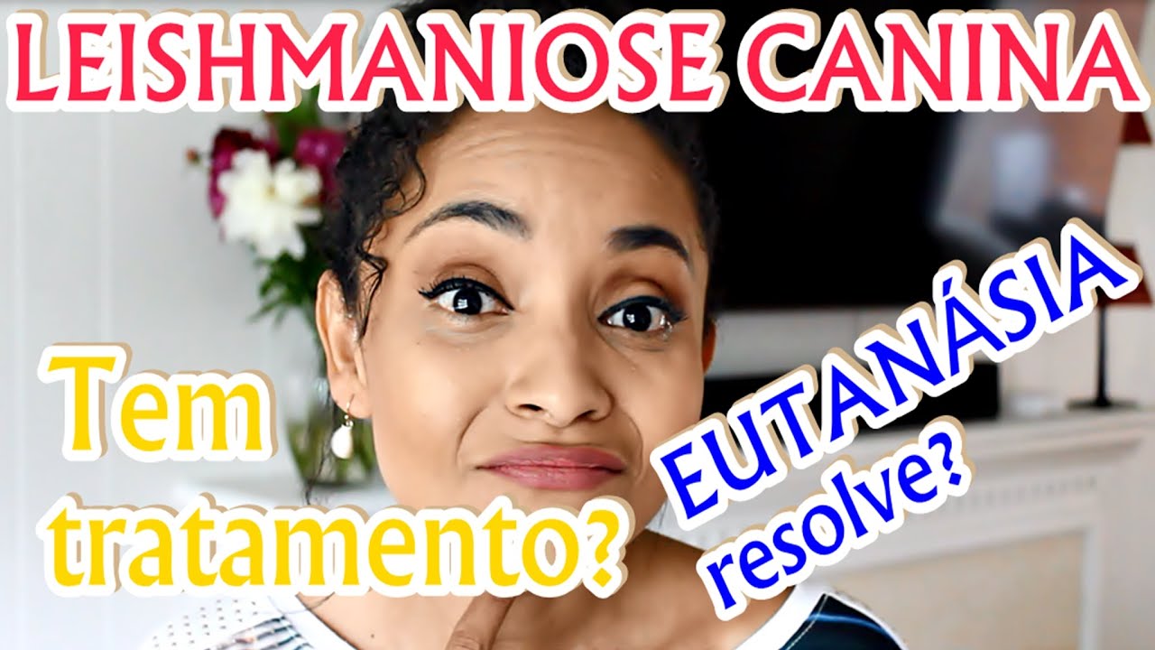 #LEISHMANIOSE - #CALAZAR. EUTANÁSIA RESOLVE?  TEM TRATAMENTO?  O QUE TEM DE NOVO?