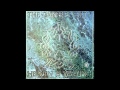 DANSE SOCIETY-Angel (1984) 