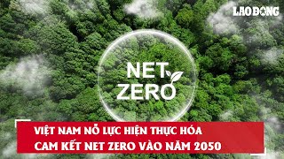 Việt Nam nỗ lực hiện thực hóa cam kết Net Zero vào năm 2050| Báo Lao Động