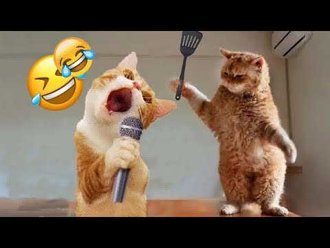 You Laugh You Lose😹Funniest Dogs and Cats 2024😻🐶