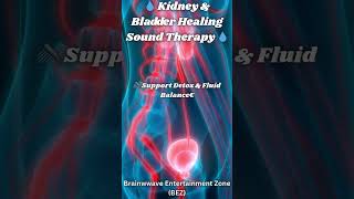 Download lagu POWERFUL 528 Hz Theta Waves for Kidney Healing | Kidney Healing Frequencies | Pure Binaural Beats mp3 Download lagu POWERFUL 528 Hz Theta Waves for Kidney Healing | Kidney Healing Frequencies | Pure Binaural Beats mp3