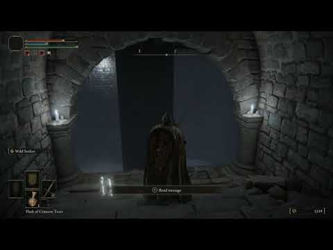 Trap Spike Room - Elden Ring