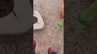 Cover art for Look Mom I'm High!