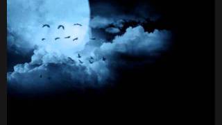 Void of Silence - Dark Static Moments