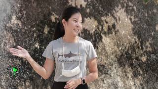 รายการรอบภูมิภาค ตอน ภายใต้มาตรการป้องกันโควิด #เกาะพะงัน