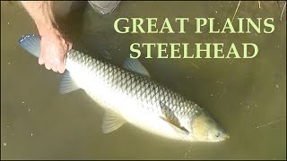 preview picture of video 'Great Plains Steelhead (Grass Carp on a fly)'