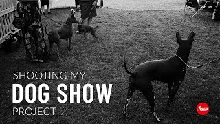A 28mm, an early morning start, and a dog show