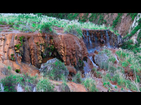 𝕺𝖋𝖎𝖈𝖎𝖆𝖑!!! 𝐆𝐥𝐨𝐫𝐢𝐚 𝐋𝐨𝐩𝐞𝐳 🎼 𝑪𝒓𝒊𝒔𝒕𝒐 𝑻𝒆 𝑬𝒔𝒑𝒆𝒓𝒂 🎶🎵 #𝕡𝕣𝕚𝕞𝕚𝕔𝕚𝕒2023