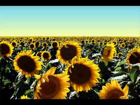 Pete Tha Zouk & Mastercris ft. Abigail Bailey - I am back again (Adam K and Soha remix)