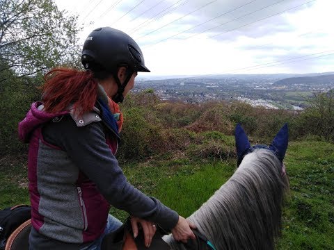 Junge Pferde fürs Gelände fit machen