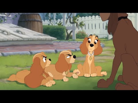 Lady and the Tramp II Scamp’s Adventure Lady and Tramp Going To Search Scamp PAL