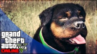 GTA 5 Online Pets and Animals in GTA Online!? Do You Want a PET? (GTA 5 Gameplay)