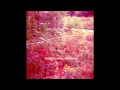 Toasted Plastic - Isolation 