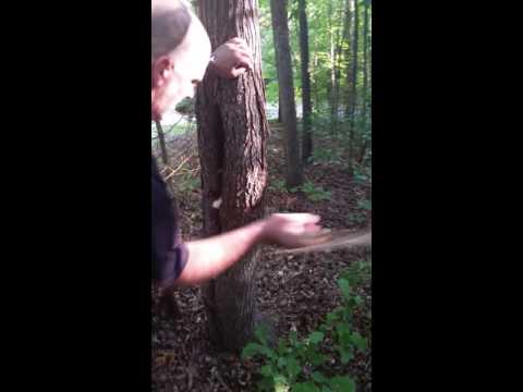 Shadow Tech " Shadow Hawk Review by Gear2survive Part 1