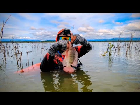 SPOT YANG PENUH KEJUTAN ❗WGM