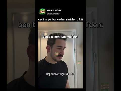 kedi niye bu kadar sinirlendiki?😅