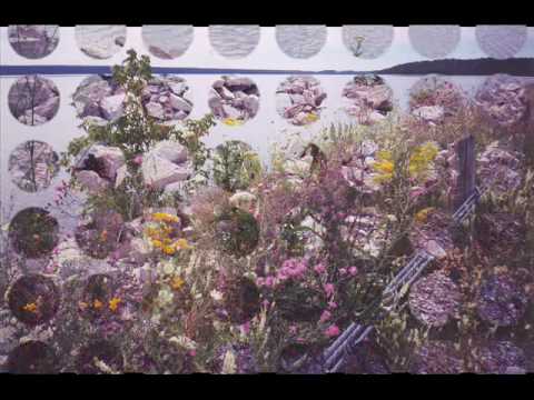 Blindspot - ©2010 by Rob  Minderman.wmv