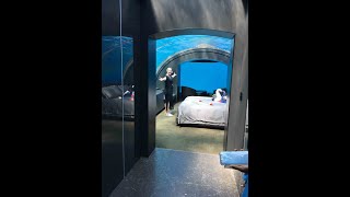 Sleeping under the sea in an underwater bedroom! What is it REALLY like to stay 