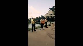"Guantanamera" Mariachi