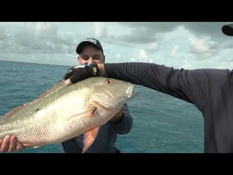 How-To: Catch Ballyhoo...Learn More @ www.TheBallyhoop.com