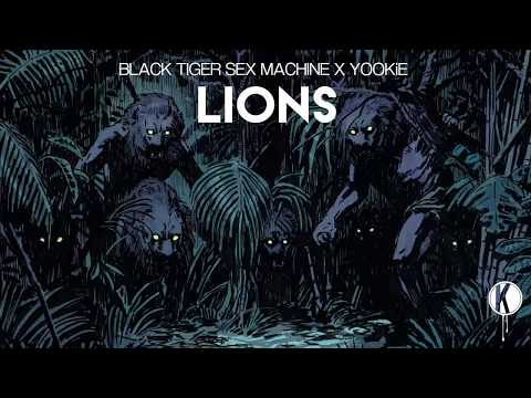 Black Tiger Sex Machine x YOOKiE - Lions