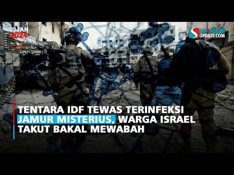 Tentara IDF Tewas Terinfeksi Jamur Misterius, Warga Israel Takut Bakal Mewabah