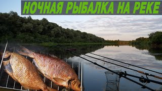 Ночная рыбалка для начинающих